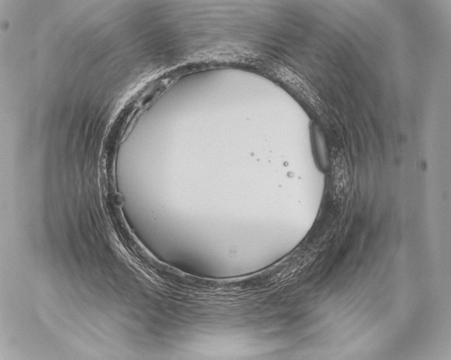 X0000059800680200511111602