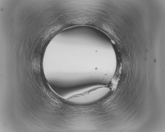 X0000059800681200511111602