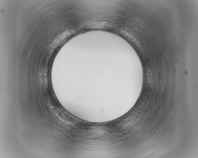 X0000059800682200511111601