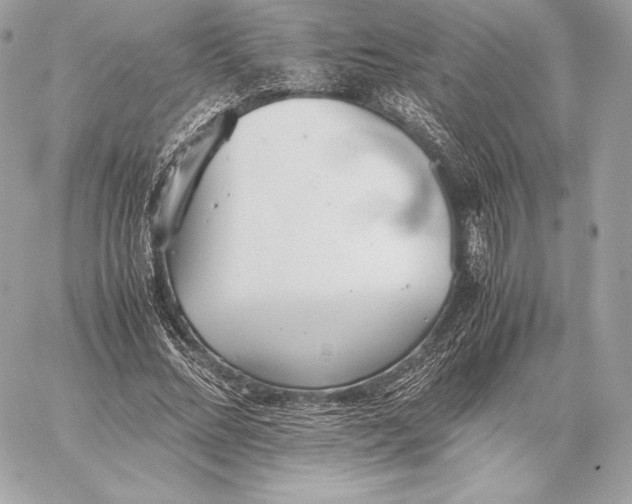 X0000059800684200511111601