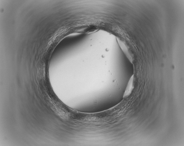 X0000059800685200511111601