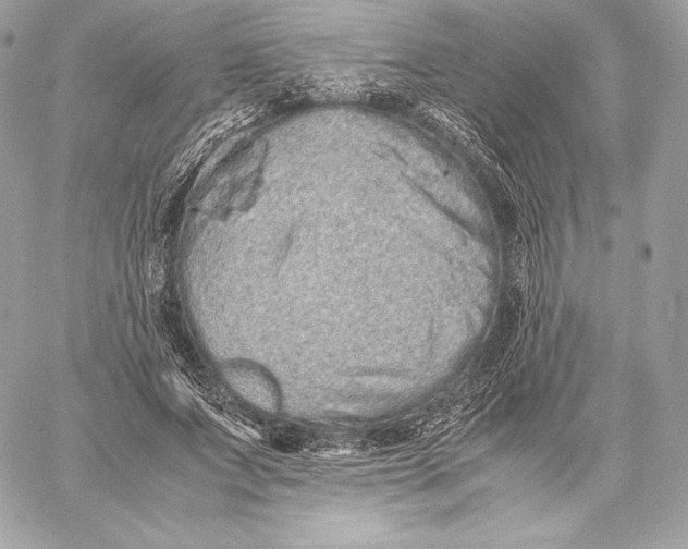 X0000059800687200511111601