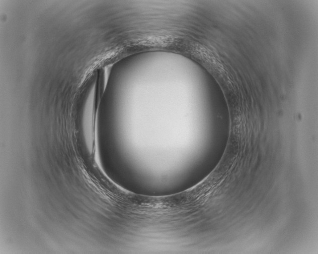 X0000059800688200511111601