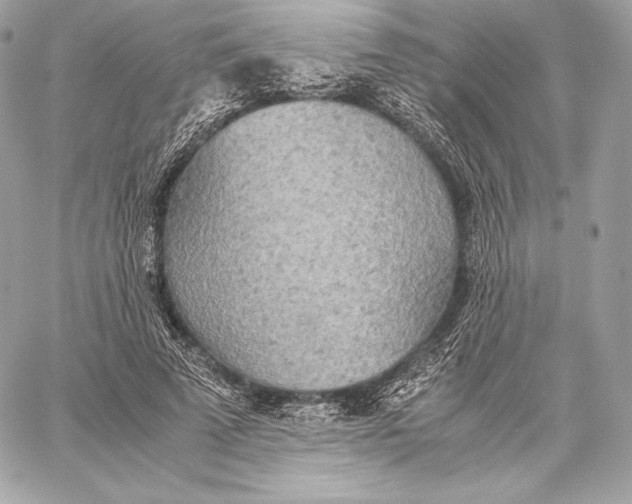 X0000059800689200511111601