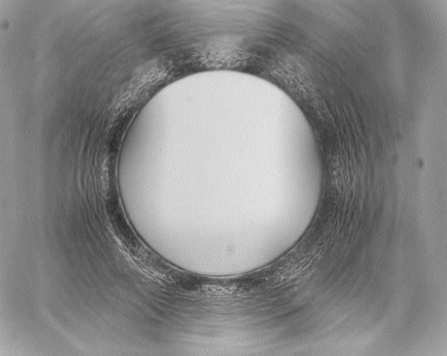 X0000059800690200511111601