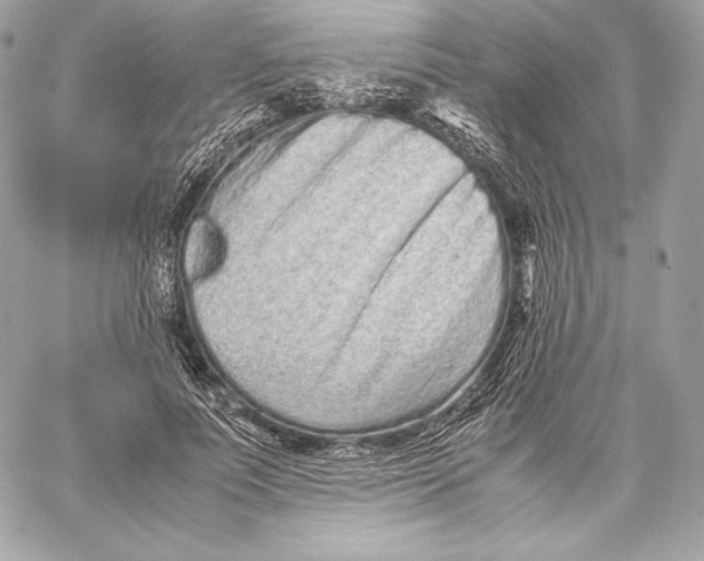 X0000059800691200511111601