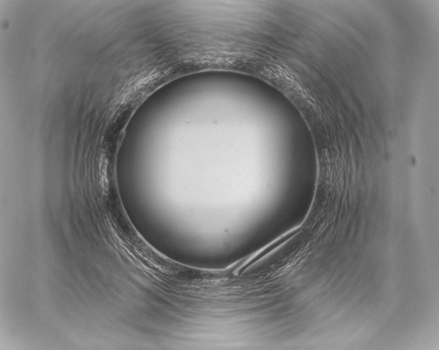 X0000059800692200511111601