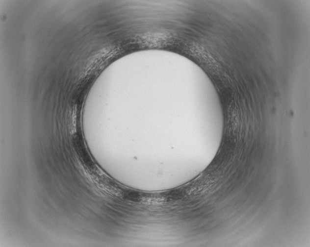 X0000059800694200511111601