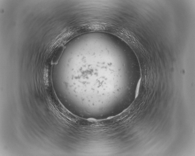 X0000059800696200511111601