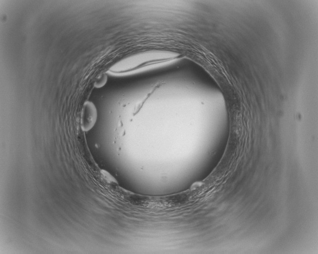 X0000059800697200511111601