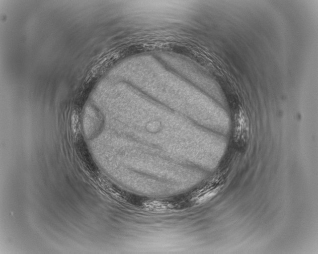 X0000059800699200511111601