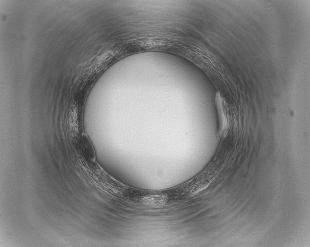 X0000059800700200511111601