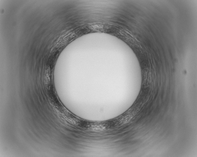 X0000059800702200511111601