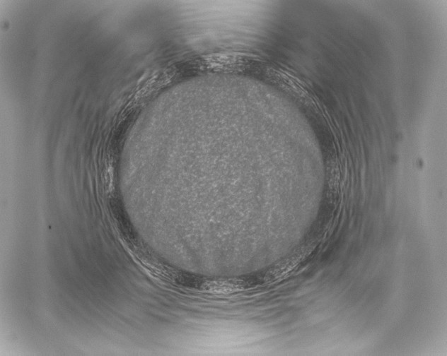 X0000059800703200511111601