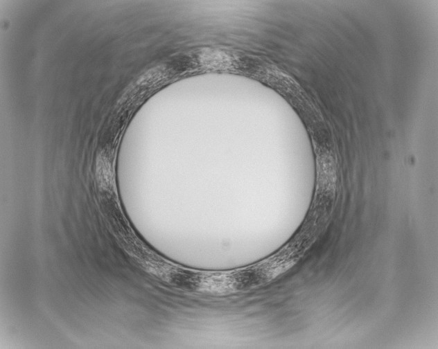 X0000059800705200511111601