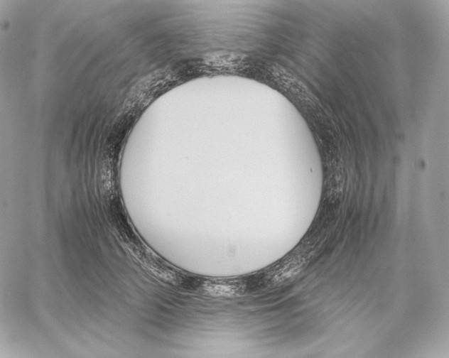 X0000059800706200511111601