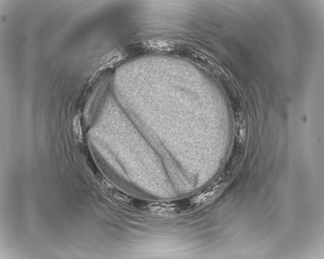 X0000059800707200511111601