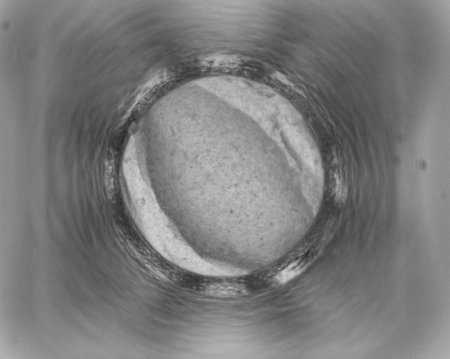 X0000059800708200511111601