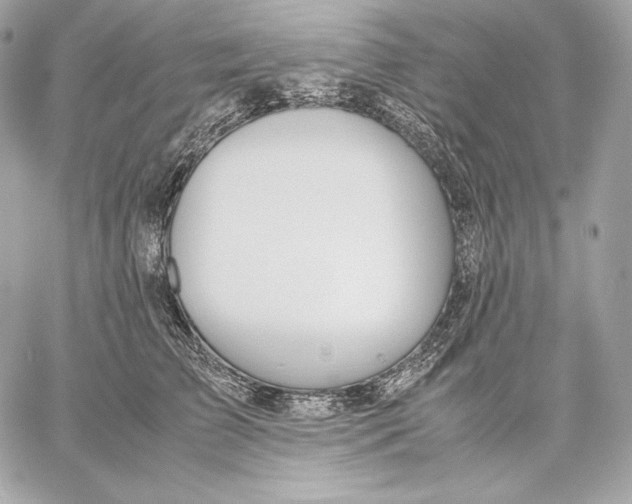 X0000059800709200511111601