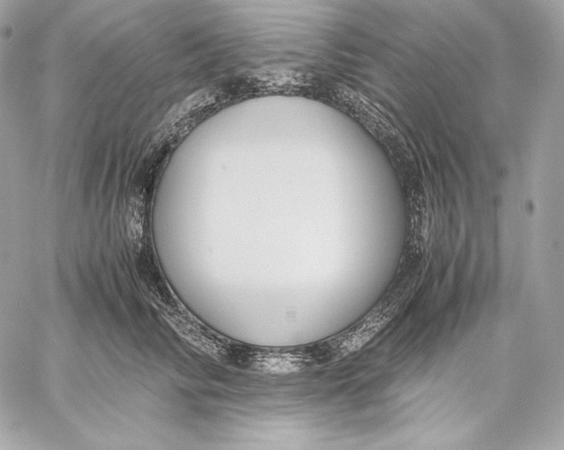 X0000059800710200511111601