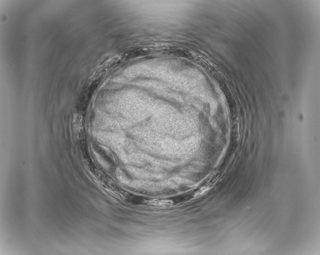 X0000059800711200511111601