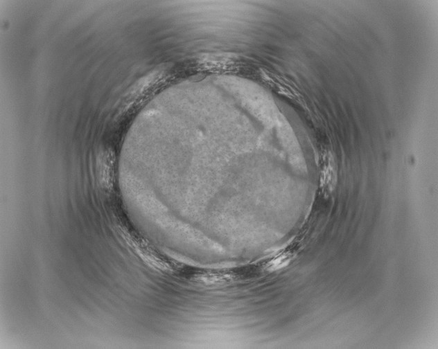 X0000059800712200511111601