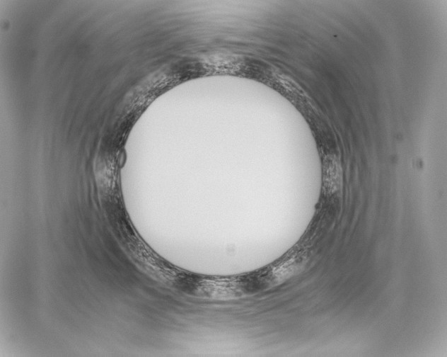 X0000059800713200511111601