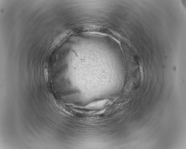 X0000059800716200511111601