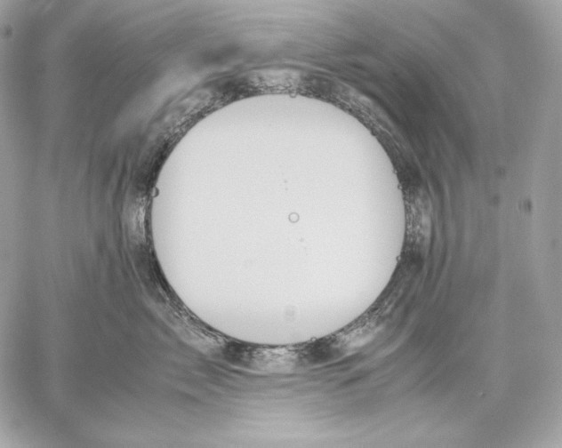 X0000059800717200511111601