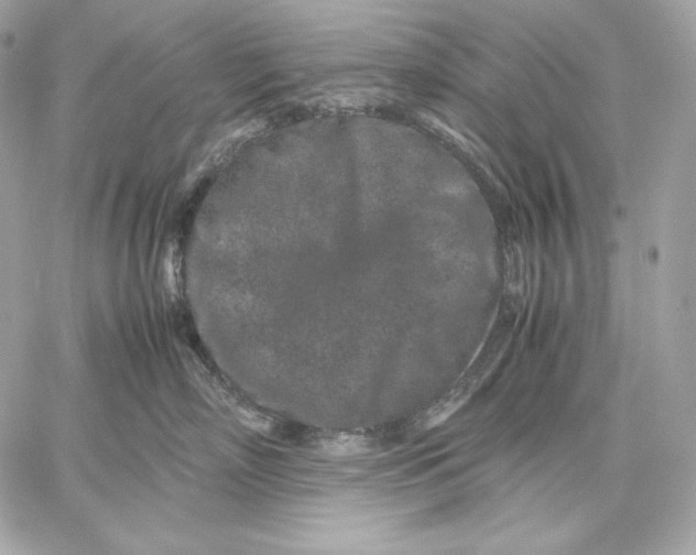 X0000059800718200511111601