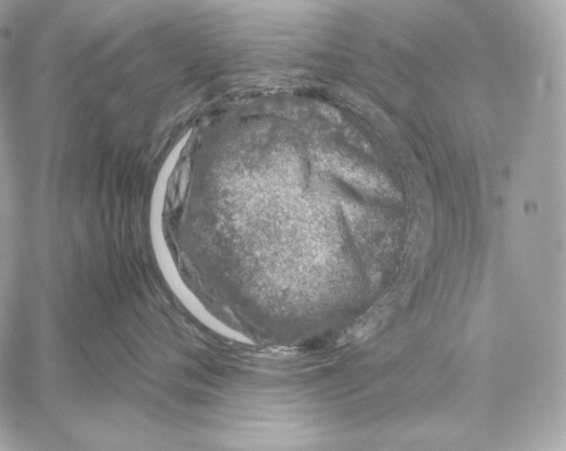 X0000059800720200511111601