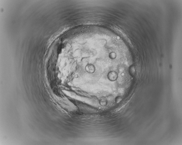 X0000059800721200511111600