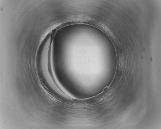 X0000059800722200511111600