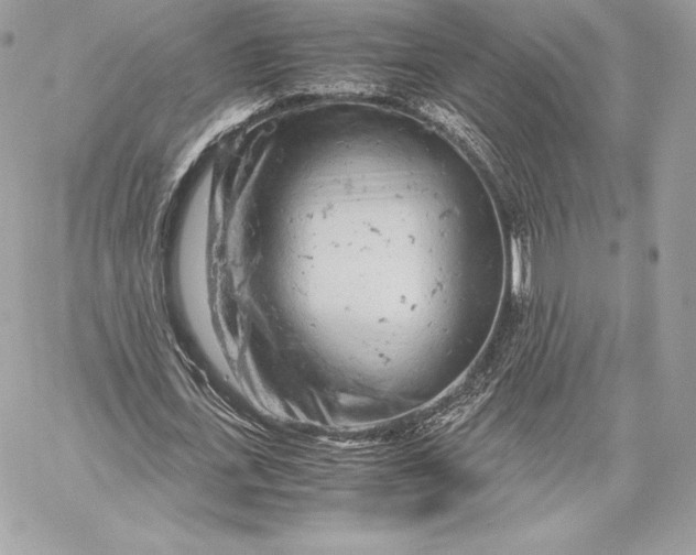 X0000059800723200511111600