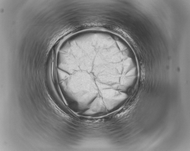 X0000059800725200511111600