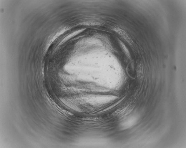 X0000059800727200511111600