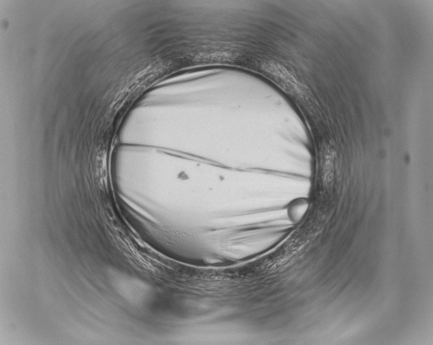 X0000059800729200511111600