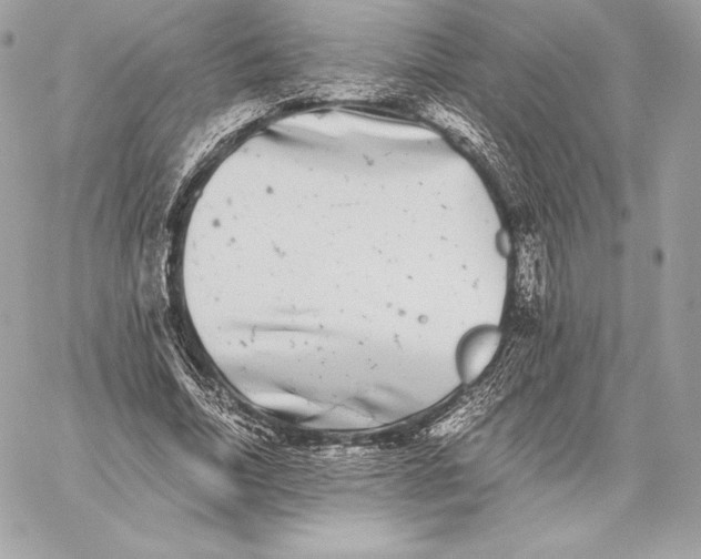 X0000059800730200511111600