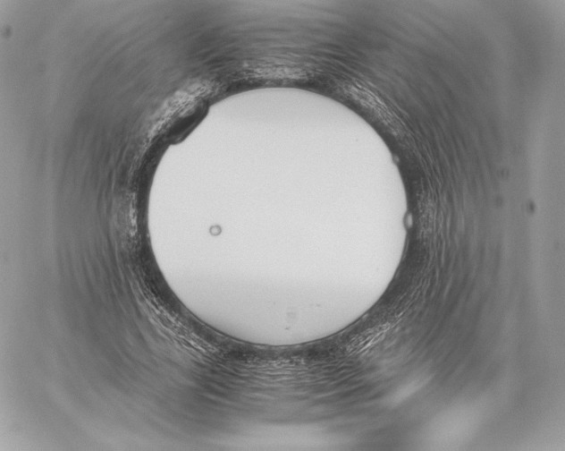 X0000059800731200511111600