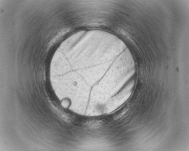 X0000059800734200511111600