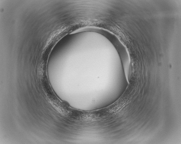 X0000059800736200511111600