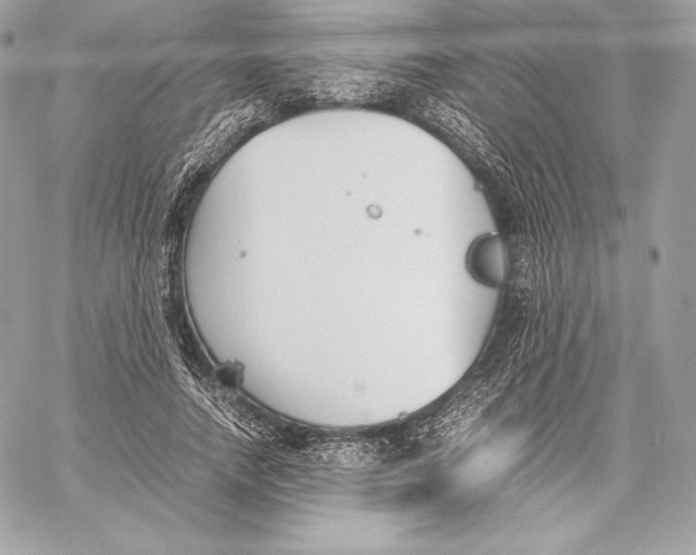 X0000059800738200511111600