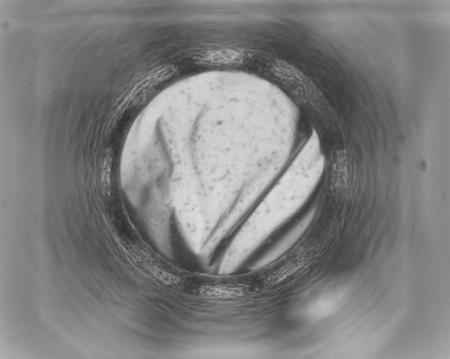 X0000059800739200511111600