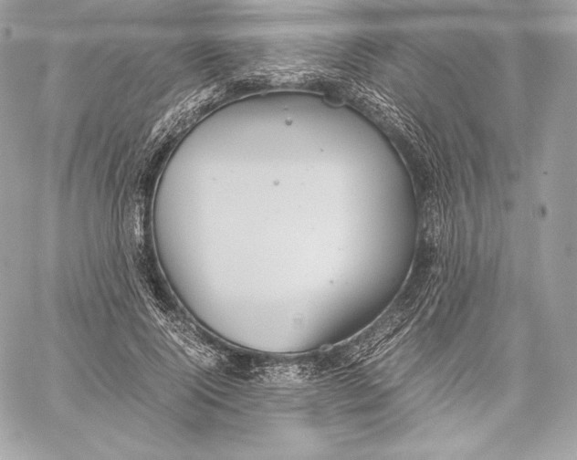 X0000059800740200511111600