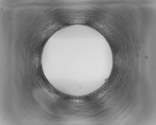 X0000059800741200511111600