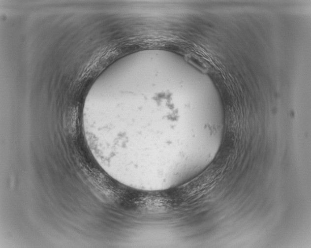 X0000059800742200511111600