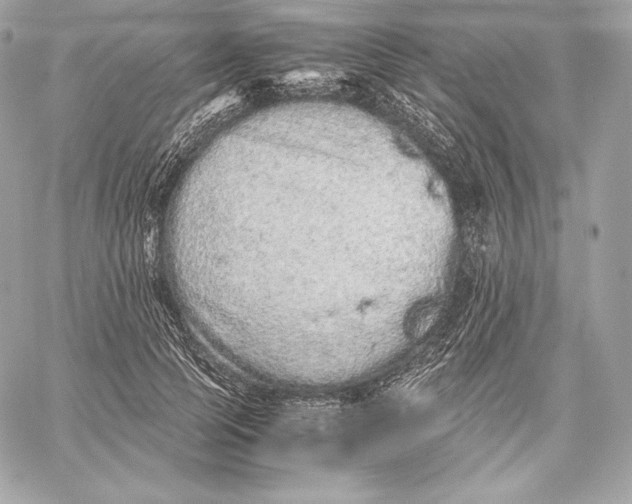 X0000059800745200511111600