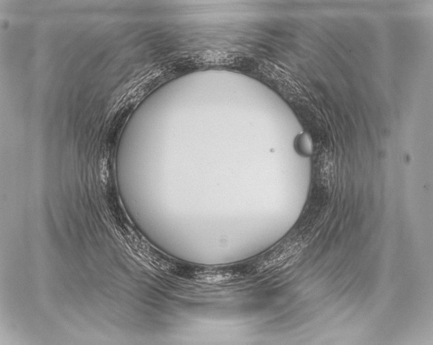 X0000059800746200511111600