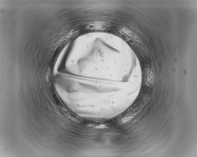 X0000059800747200511111600