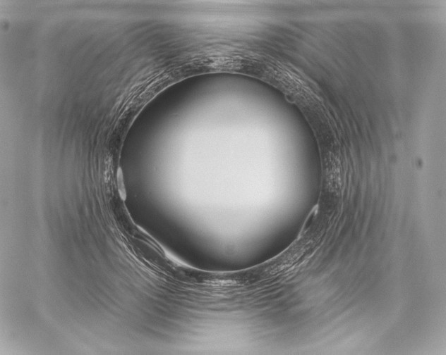 X0000059800748200511111601